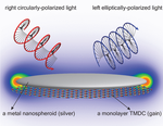 TMDC-Based Topological Nanospaser: Single and Double Threshold Behavior